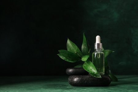 Bottle with essential oil, spa stones, branch and flower on green backgroundの写真素材