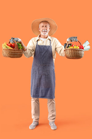 Mature male farmer with wicker baskets full of different ripe vegetables on orange backgroundの写真素材