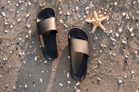 Stylish female flip flops and starfish on sand