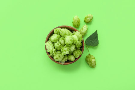 Wooden bowl with fresh green hops and leaf on color backgroundの写真素材