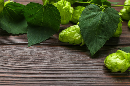 Fresh green hops with leaves on wooden backgroundの写真素材