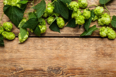 Fresh green hops and leaves on wooden backgroundの写真素材