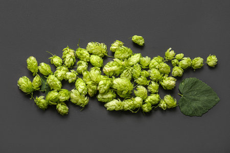 Fresh green hops and leaves on black background