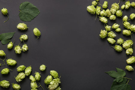 Fresh green hops and leaves on black background