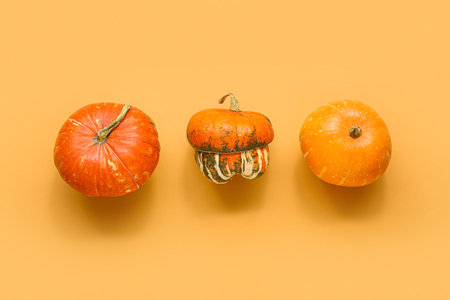 fresh pumpkins on orange backgroundの写真素材