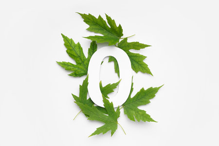 Green leaves with paper number zero on white backgroundの写真素材