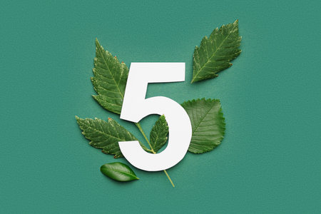 Green leaves with paper number five on color background