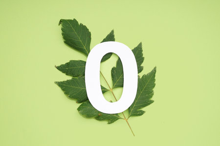 Green leaves with paper number zero on color backgroundの写真素材