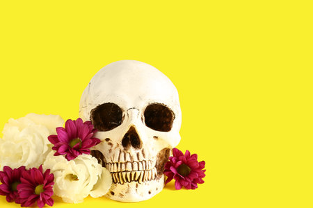 Human skull with beautiful flowers on yellow background, closeupの写真素材