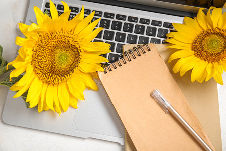 Modern laptop, sunflowers and notebooks on light backgroundの写真素材