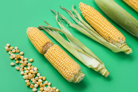 Fresh corn cobs and kernels on green background