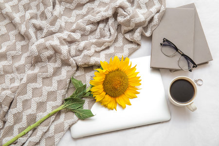 Beautiful sunflower, cup of coffee, eyeglasses and modern laptop on light fabric background