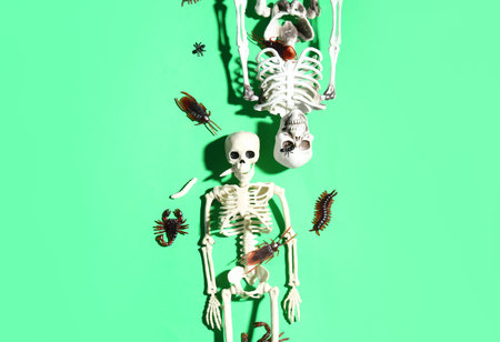 Halloween composition with skeletons and candy bugs on green backgroundの写真素材