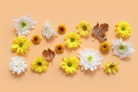 Beautiful chrysanthemum flowers and leaves on orange backgroundの写真素材