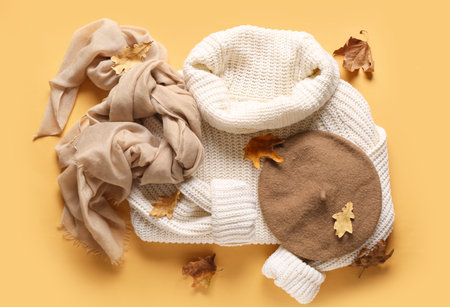 Composition with stylish female clothes and fallen leaves on color backgroundの写真素材