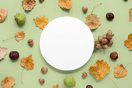 Beautiful autumn composition with leaves, acorns and round blank card on green backgroundの写真素材
