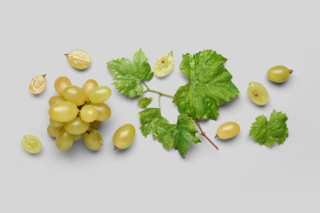 Fresh green grapes with leaves on gray backgroundの写真素材