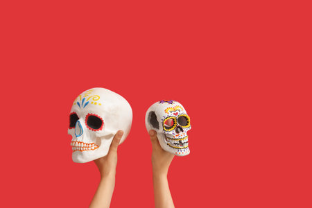 Female hands holding painted human skulls for Mexico's Day of the Dead (El Dia de Muertos) on red backgroundの写真素材