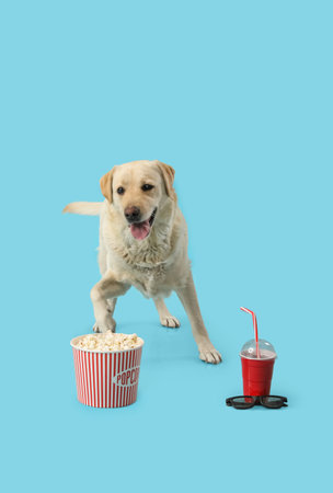 Cute Labrador dog with popcorn bucket, cup of soda and 3D cinema glasses on blue backgroundの写真素材