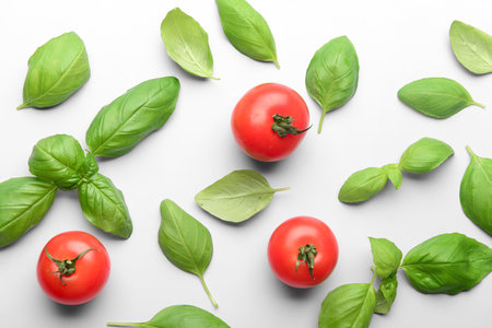 Fresh green basil and tomatoes on gray backgroundの写真素材