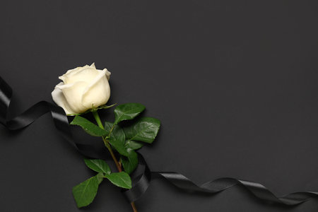 White rose with ribbon on black backgroundの写真素材
