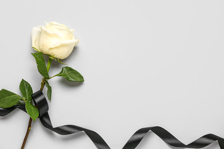 Beautiful rose and black ribbon on white backgroundの写真素材