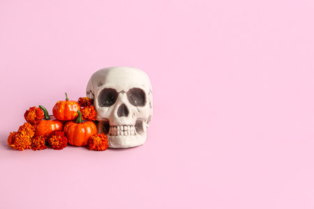 Human skull with marigold flowers and pumpkins on pink backgroundの写真素材