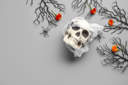 Human skull with marigold flowers, tree branches and spiders on gray backgroundの写真素材
