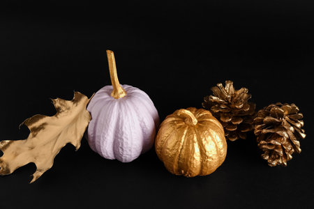 Painted pumpkins with golden leaves and cones on black backgroundの写真素材
