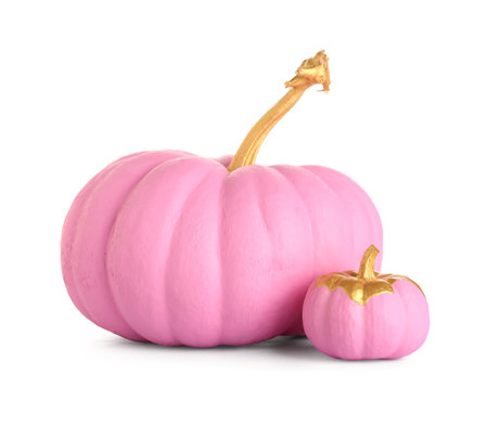 Pink painted pumpkins on white backgroundの写真素材
