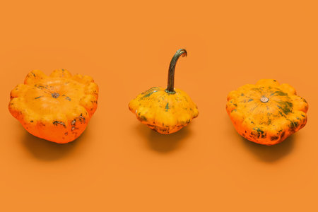 fresh pumpkins on orange backgroundの写真素材