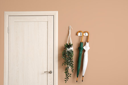 Umbrellas and houseplant hanging on color wall near doorの写真素材