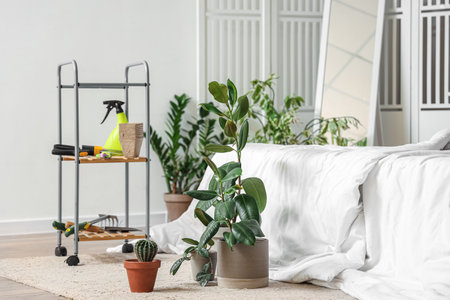 Green plants with gardening tools in bedroomの写真素材