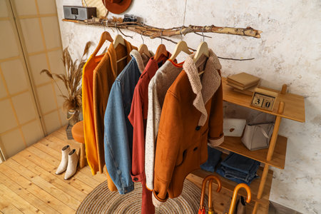 Interior of modern hallway with stylish autumn clothes hanging on tree branch