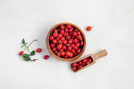 Wooden bowl and scoop with fresh rose hip berries on white backgroundの写真素材