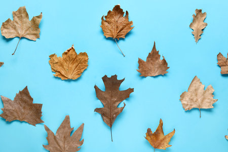 Autumn leaves on blue background