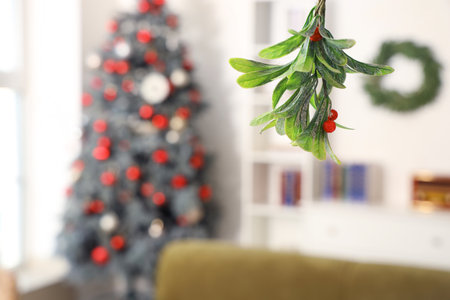 Mistletoe branch in living room, closeupの写真素材