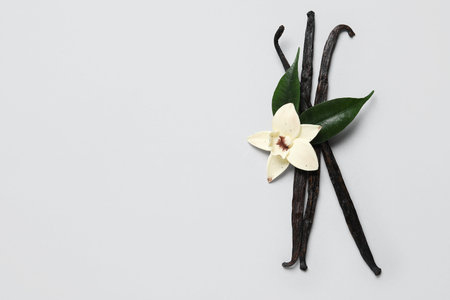 Aromatic vanilla sticks and flower on gray backgroundの写真素材