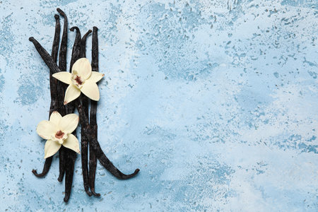 Aromatic vanilla sticks and flowers on blue backgroundの写真素材