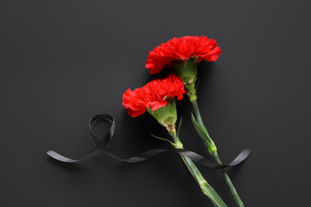 Beautiful carnation flowers and black funeral ribbon on dark backgroundの写真素材