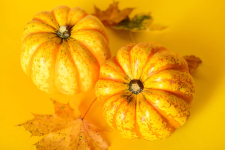 Fresh pumpkins and autumn leaves on yellow background