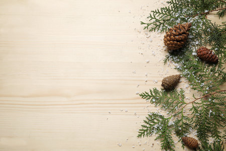 Christmas branches with fir cones and snow on light wooden background
