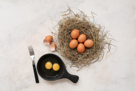 Frying pan and nest with fresh chicken eggs on white backgroundの写真素材