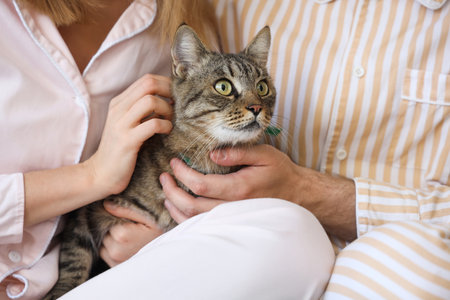 Young couple with cute cat in bedroom, closeupの写真素材