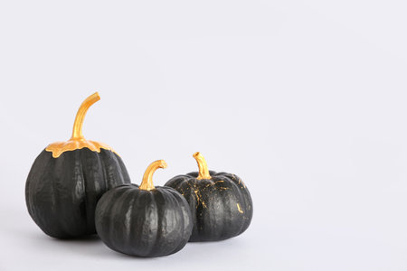 Painted pumpkins on white backgroundの写真素材