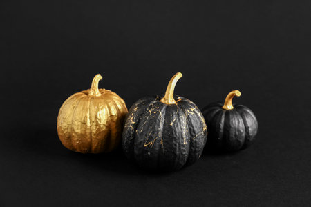 Painted pumpkins on black backgroundの写真素材