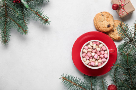 Cup of tasty Christmas cocoa with marshmallows, cookies, gift box and fir branches on white backgroundの写真素材