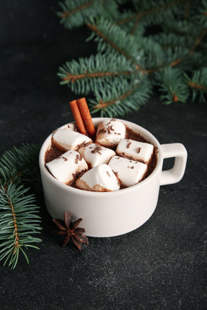 Cup of tasty Christmas cocoa with marshmallows, cinnamon and fir branches on black backgroundの写真素材