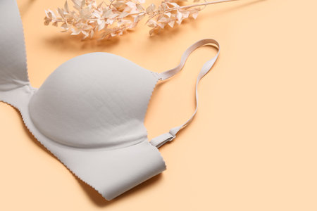 Stylish female bra and dried plant branch on color background, closeupの写真素材