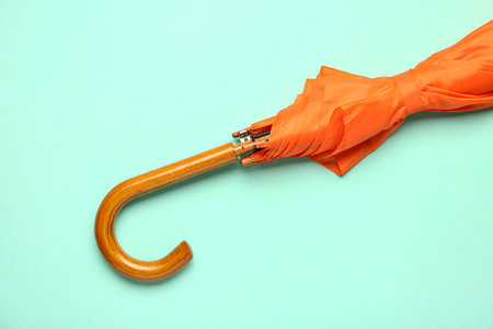 Orange stylish umbrella on green background